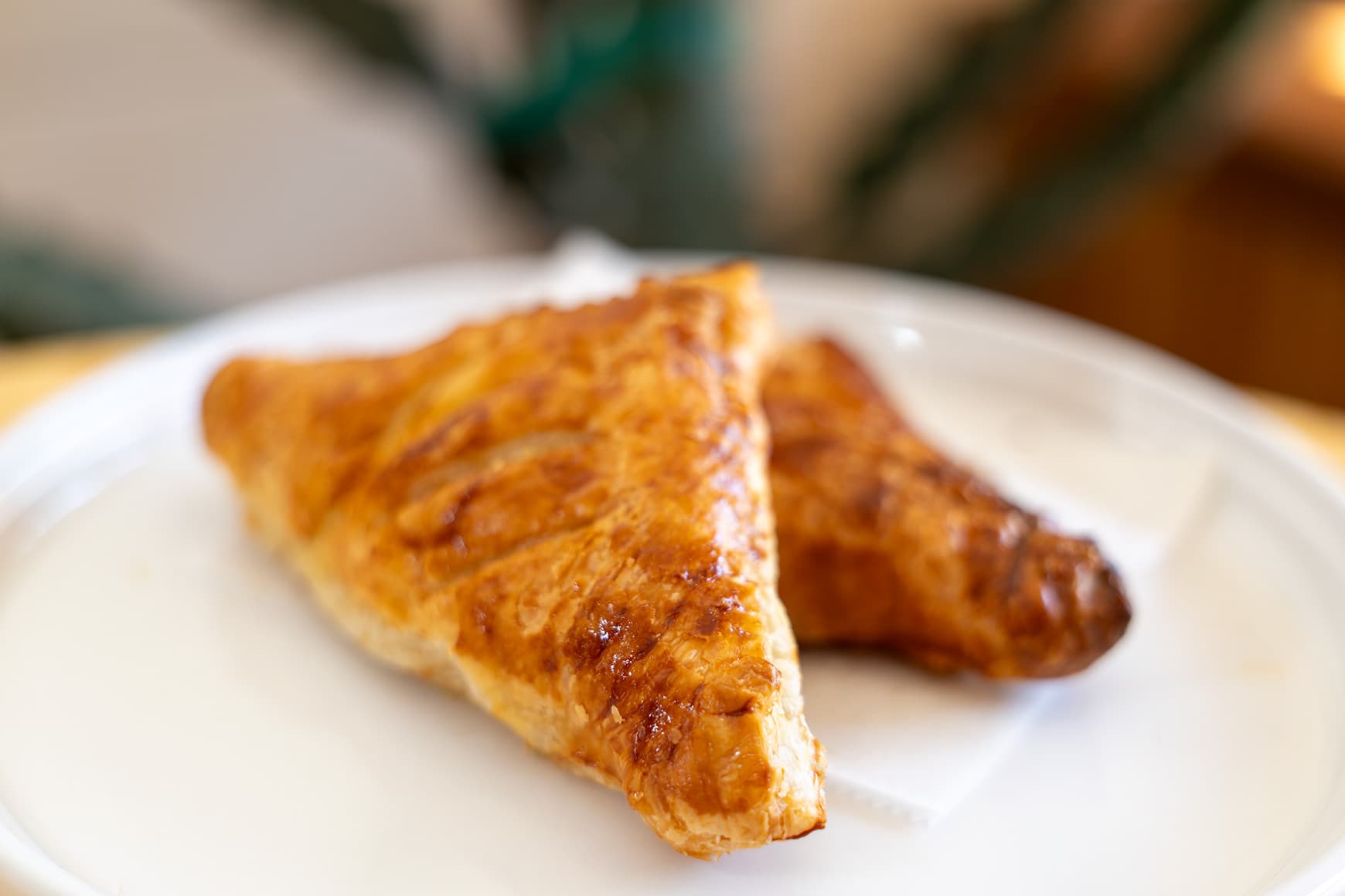 Chicken Turnover