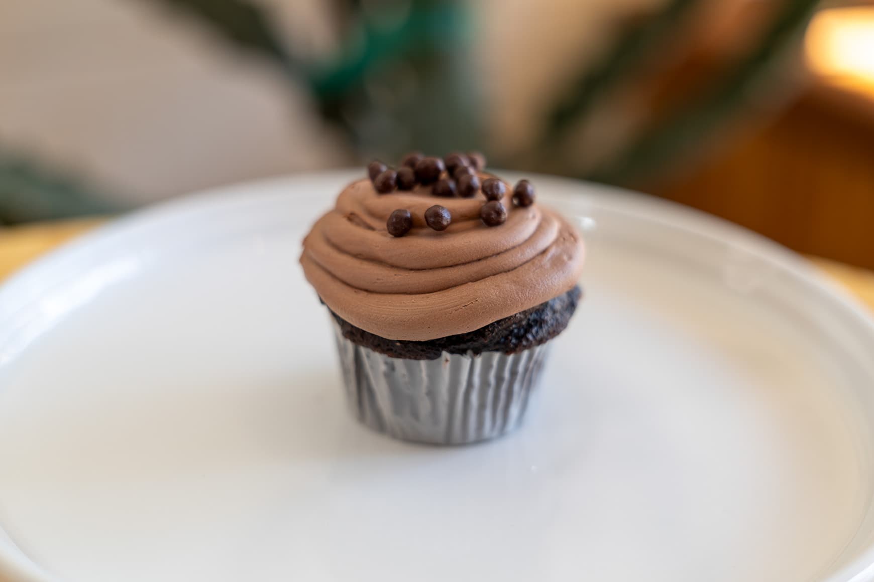 Chocolate Delight
